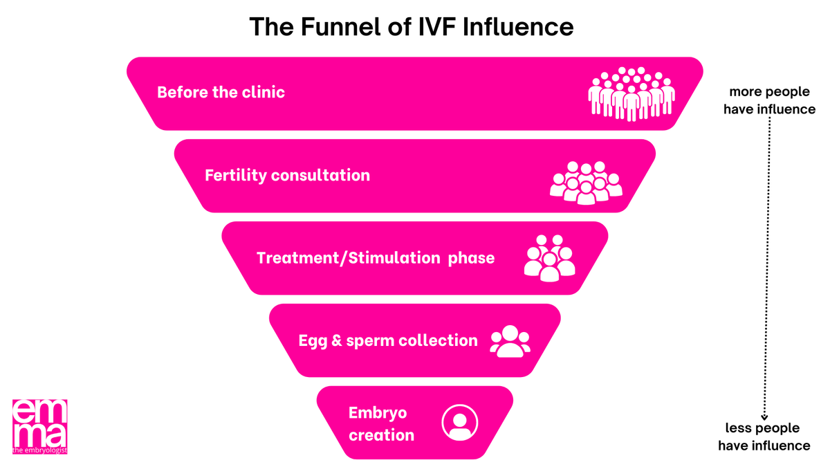 Behind the scenes: The critical role of embryologists in fertility clinics